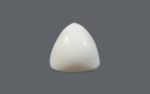 White Coral - 18.71 Carat