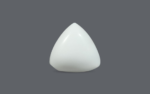 White Coral - 16.44 Carat
