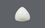 White Coral - 15.81 Carat