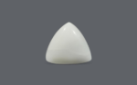 White Coral - 15.77 Carat