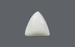 White Coral - 15.09 Carat