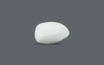 White Coral - 20.57 Carat - Image 2