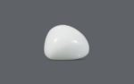 White Coral - 21.54 Carat - Image 2