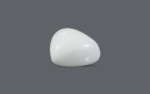 White Coral - 21.46 Carat - Image 2