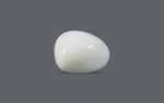 White Coral - 18.71 Carat - Image 2