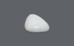 White Coral - 16.44 Carat - Image 2
