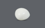 White Coral - 15.81 Carat - Image 2
