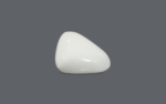 White Coral - 15.77 Carat - Image 2