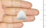White Coral - 20.57 Carat - Image 3