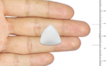 White Coral - 21.46 Carat - Image 3