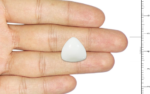 White Coral - 15.81 Carat - Image 3
