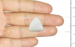 White Coral - 15.77 Carat - Image 3