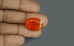 Fire Opal 20x15 MM - 10.68 Carats - Image 2