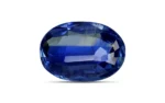 Blue Kyanite - 7.25 Carats - Image 3