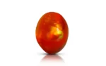 Fire Opal - 1.76 Carats